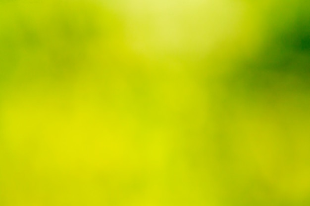 Green bokeh abstract light background