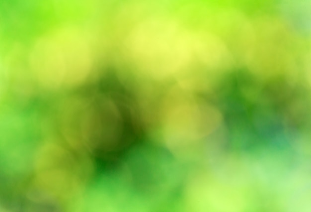 Green bokeh abstract light