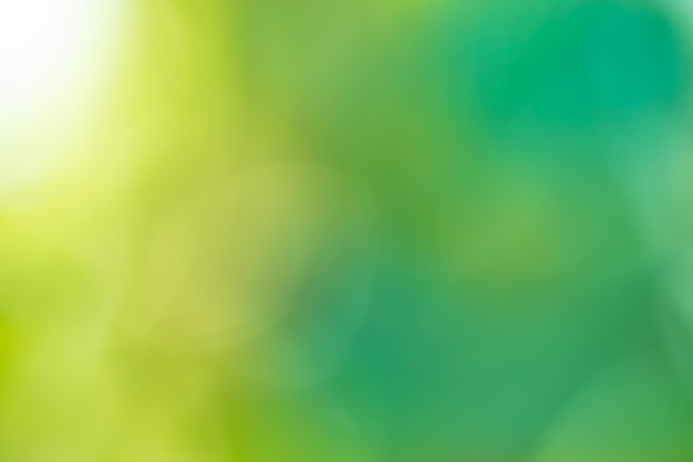 Green bokeh background Defocused abstract green background