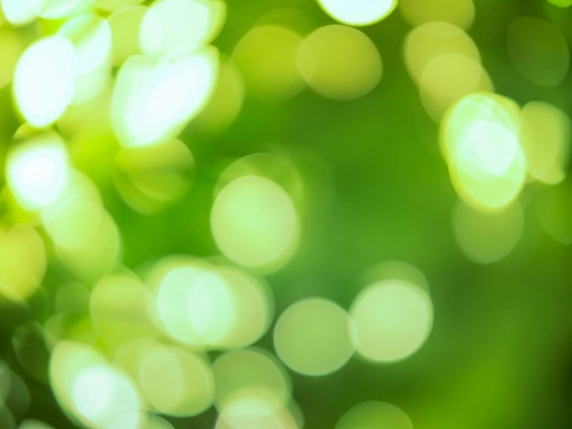 Green bokeh background from nature forest out of focus