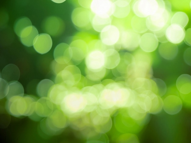 Green bokeh background from nature forest out of focus