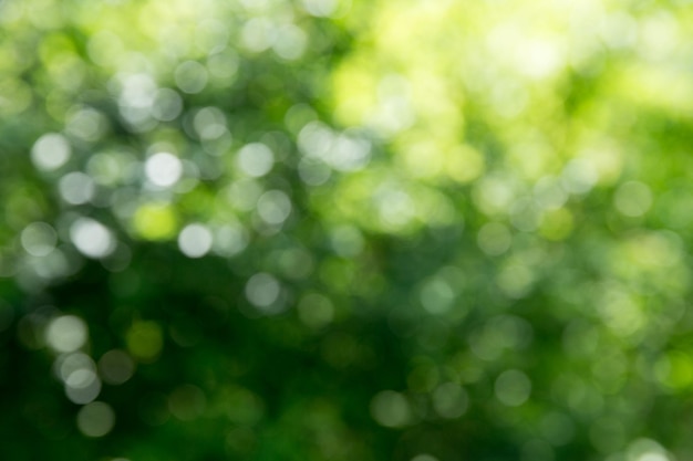 Green bokeh background and sunlight