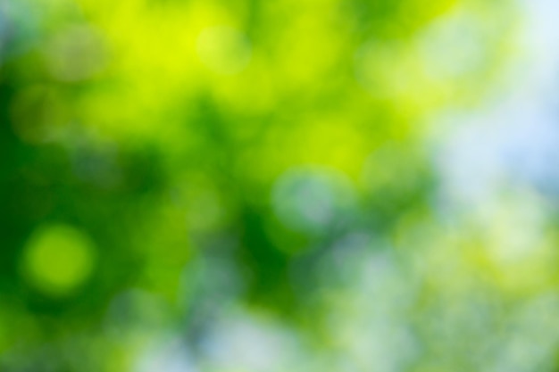 Green bokeh background and sunlight