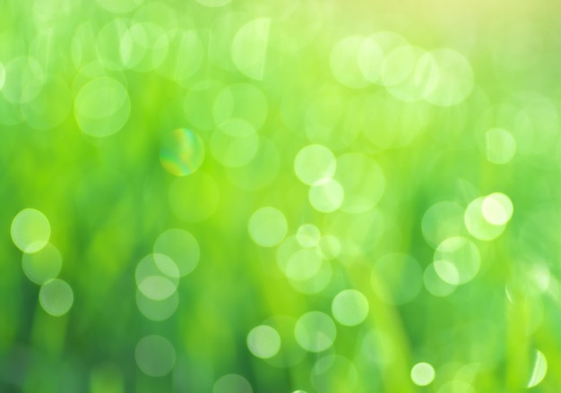 Green bokeh background