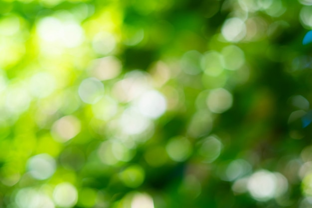 Green bokeh on nature defocus abstract blur background