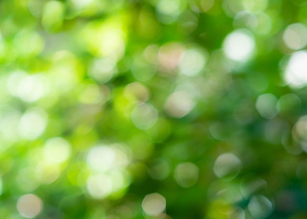 Green bokeh on nature defocus abstract blur background