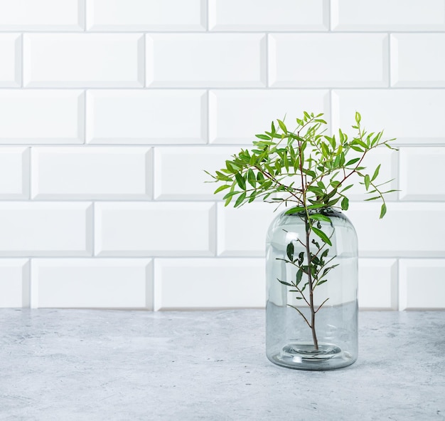 A green branch from a pistachio tree in a glass vase on a white brick background with free space for text Front view