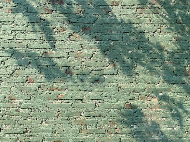 Green bricks on a wall with a shadow of a tree on it.