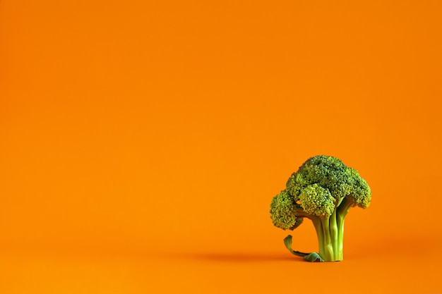 Green broccoli cabbage on a bright isolated on orange