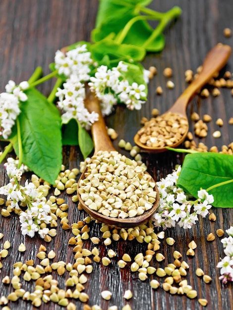 Green and brown buckwheat groats in two spoons with green leaves and flowers on a wooden board background