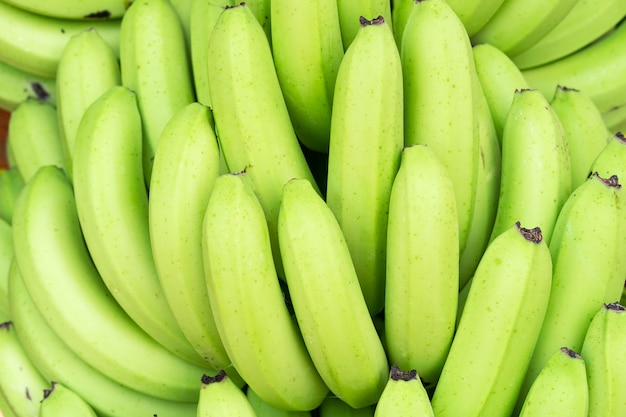 Green bunches of Cavendish banana