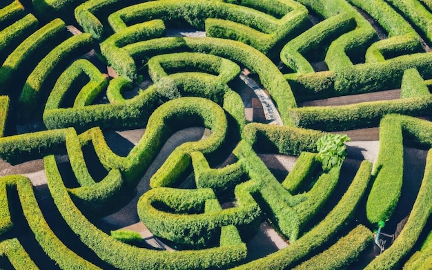 Green bushes maze