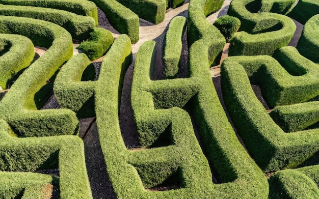 Green bushes maze