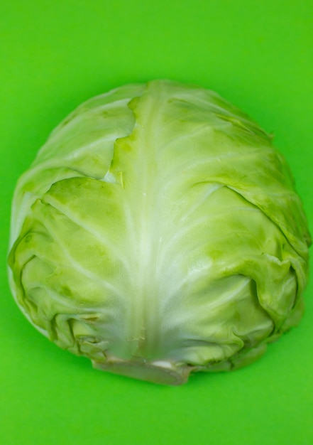 Green cabbage on the green background Close up Macro photo Minimalism original beautiful food photo