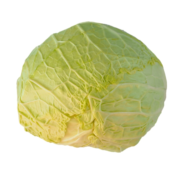 Green cabbage isolated