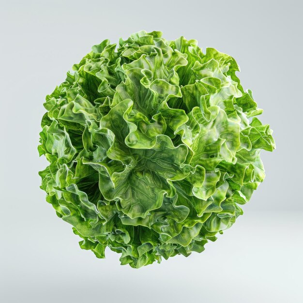 green cabbage slices isolated on transparent backgroundtransparency