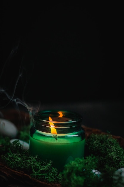 Green candle moss and stones in the bark of a tree on a black background