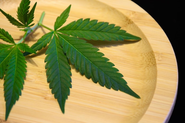 Green cannabis leaves on a circular wooden plate on black background Fresh cannabis or marijuana leaf for the concept of medical herbs and THC and CBD