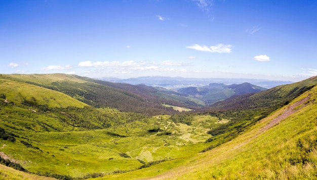 Green Carpathian mountain hills and peaks in summer sunny day