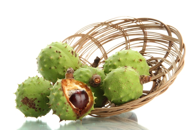 Green chestnuts in basket isolated on white