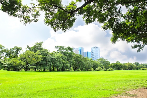 Green city park