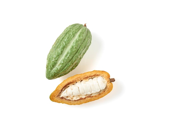 Green cocoa pod and cocoa pod slice beans