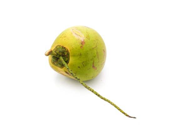 A green coconut fruit with a stem and a green leaf.