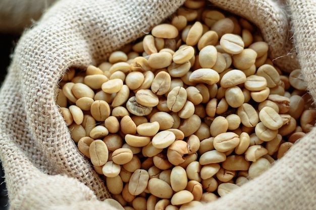 Green coffee bean in in burlap bags 