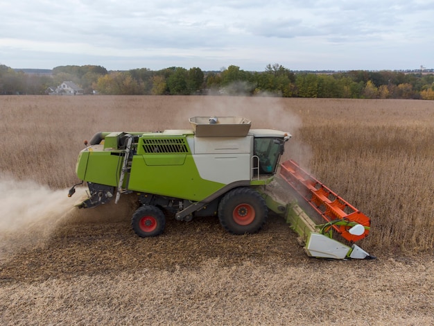 Green combine in the field threshes grain