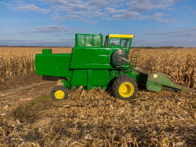 Green combine threshes corn in the field