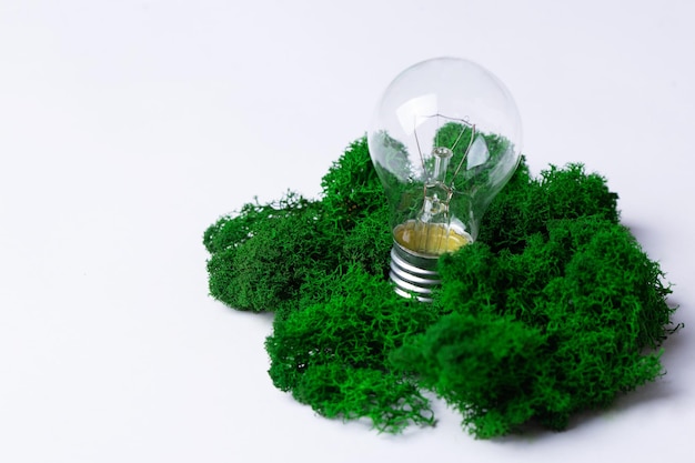 Green concept energy