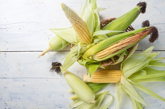 Green corn arranged on a white wooden table on white background. Top view.