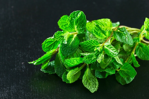 Green culinary herb mint peppermint, spearmint