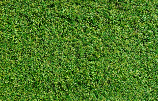 Green decoration artificial grass use for sport background.