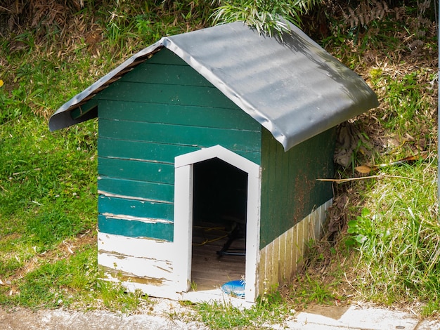 Green Dog House with Aluminum Roof