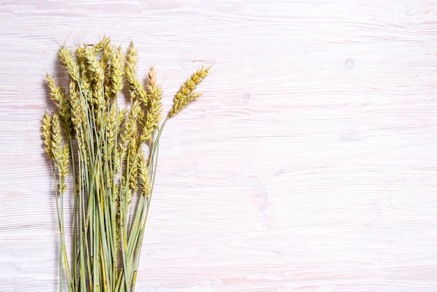 Green ears of rye on wooden background, copy space