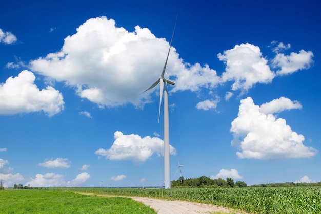 Green energy wind turbine farms in Ontario Canada produce clean energy and replace coal industry