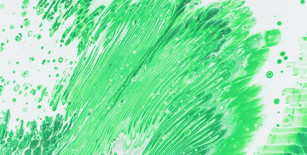 Green feathers on a white background