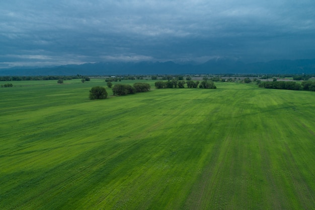 Green field aerial view