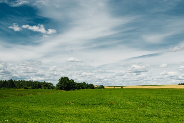 Green field, blue sky, white clouds.