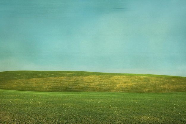 Green field and blue sky with clouds Nature background Vintage style