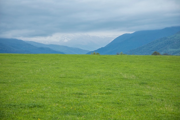 Green field and cliff under the clouds