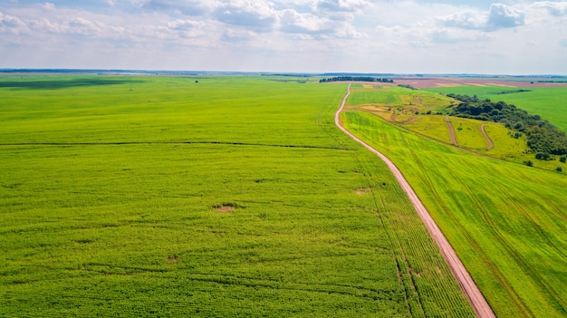 The green field is at sunset shot with the drone