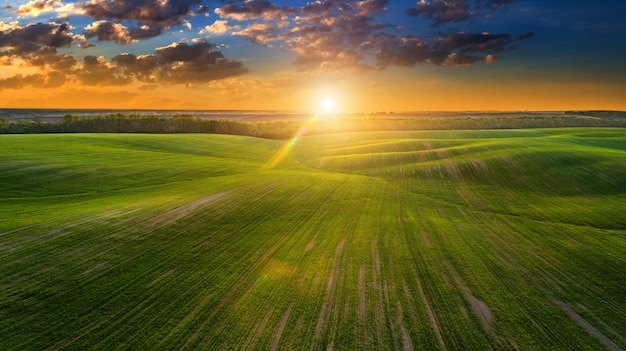 The green field is at sunset shot with the drone