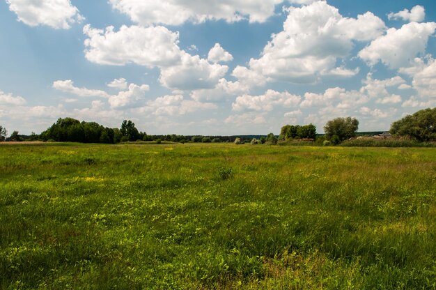 Green Field with a beautiful cloudy sky