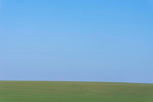 Green field with blue sky as background