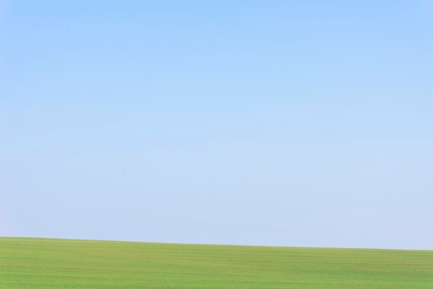 Photo green field with blue sky as background