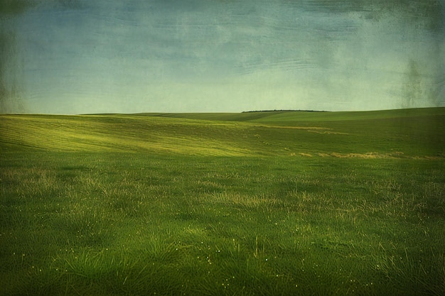 Green field with blue sky and clouds Vintage grunge background