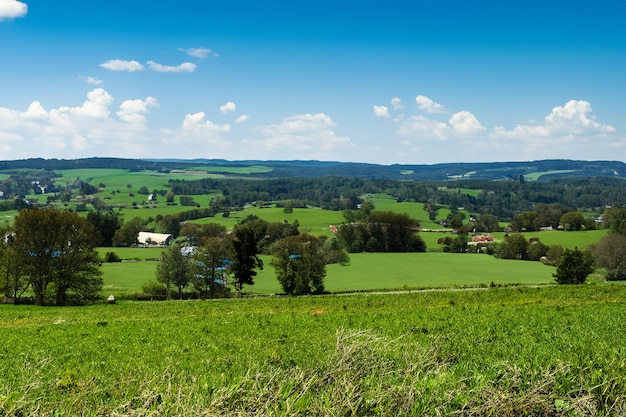 Photo a green field with a blue sky and clouds