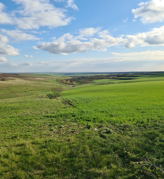 A green field with a blue sky and clouds